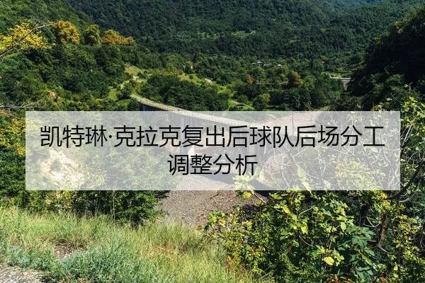 kai-te-lin-ke-la-ke-fu-chu-hou-qiu-dui-hou-chang-fen-gong-tiao-zheng-fen-xi-2-530.jpg