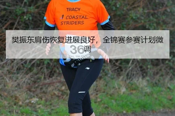 樊振东肩伤恢复进展良好，全锦赛参赛计划微调